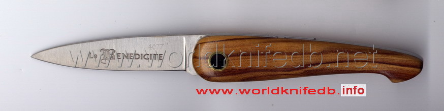 Pradel Brossard B�n�dicit�