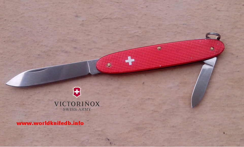 Victorinox Popular